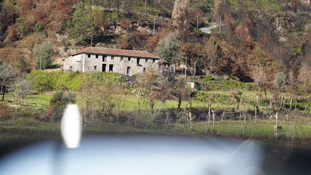 Vinho Verde vs Douro: Which Portuguese Wine Region Should You Visit? — Casa do Sol Journal